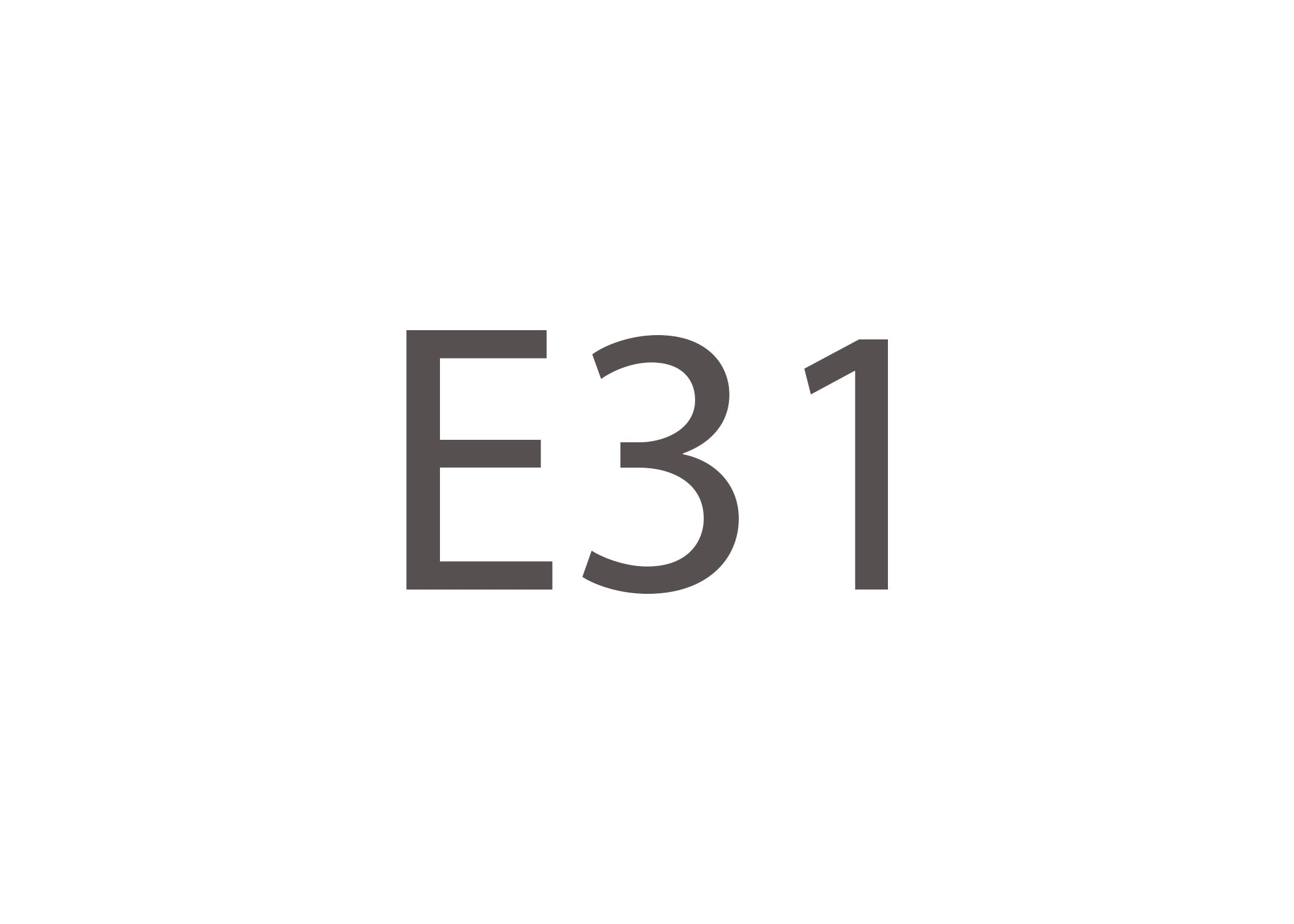 E31