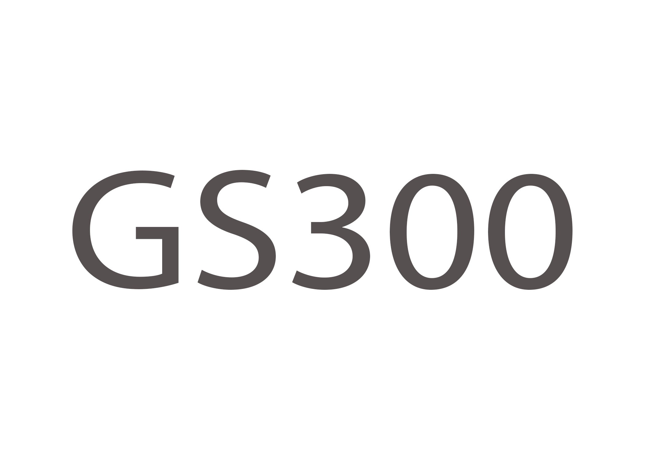 GS300