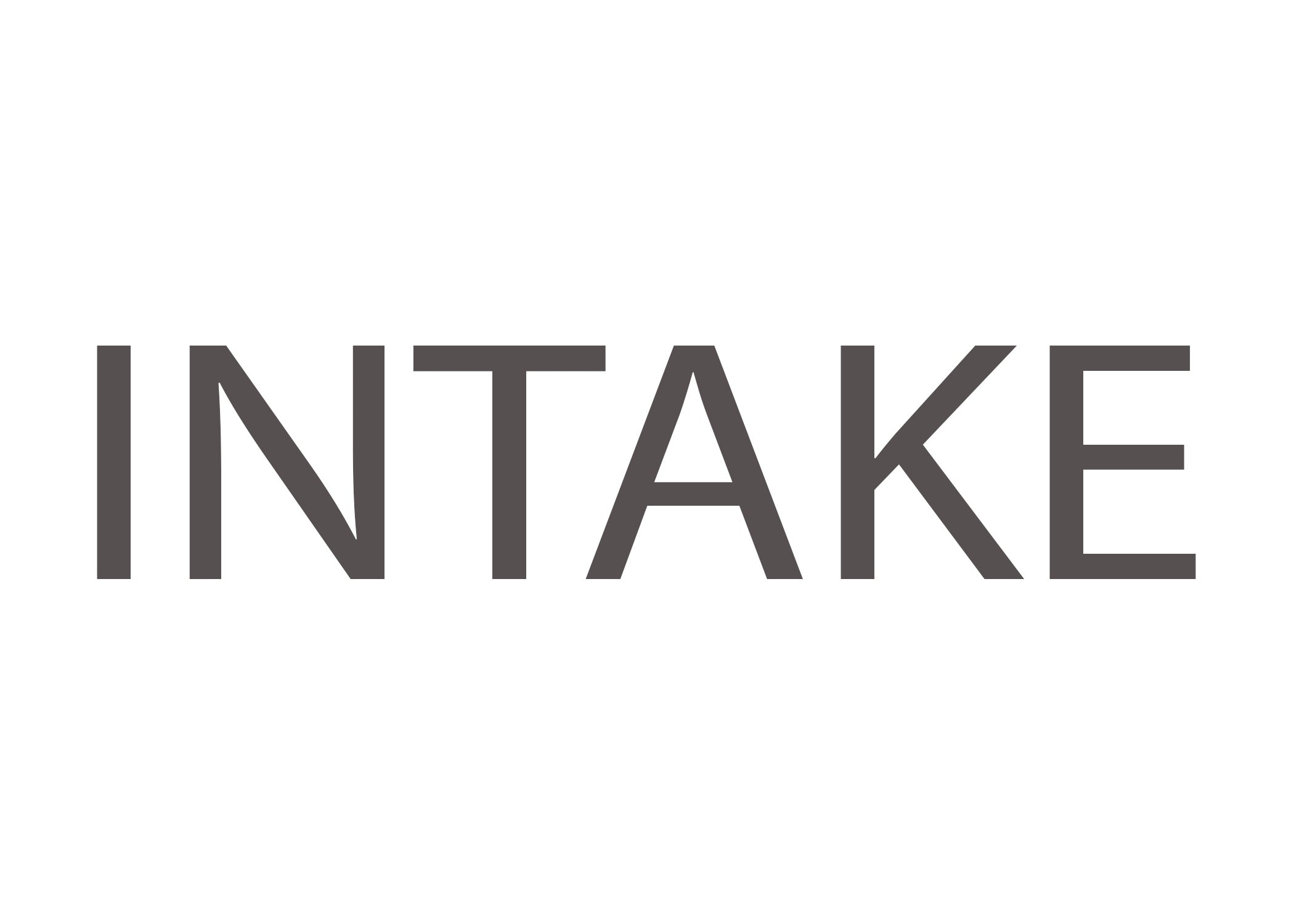 Logo Intae Intake – Xcessive Manufacturing